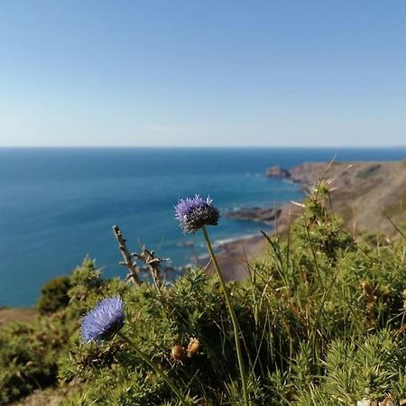 Kiberick Cottage At Crackington Haven, Near Bude And Boscastle, Cornwall ภายนอก รูปภาพ