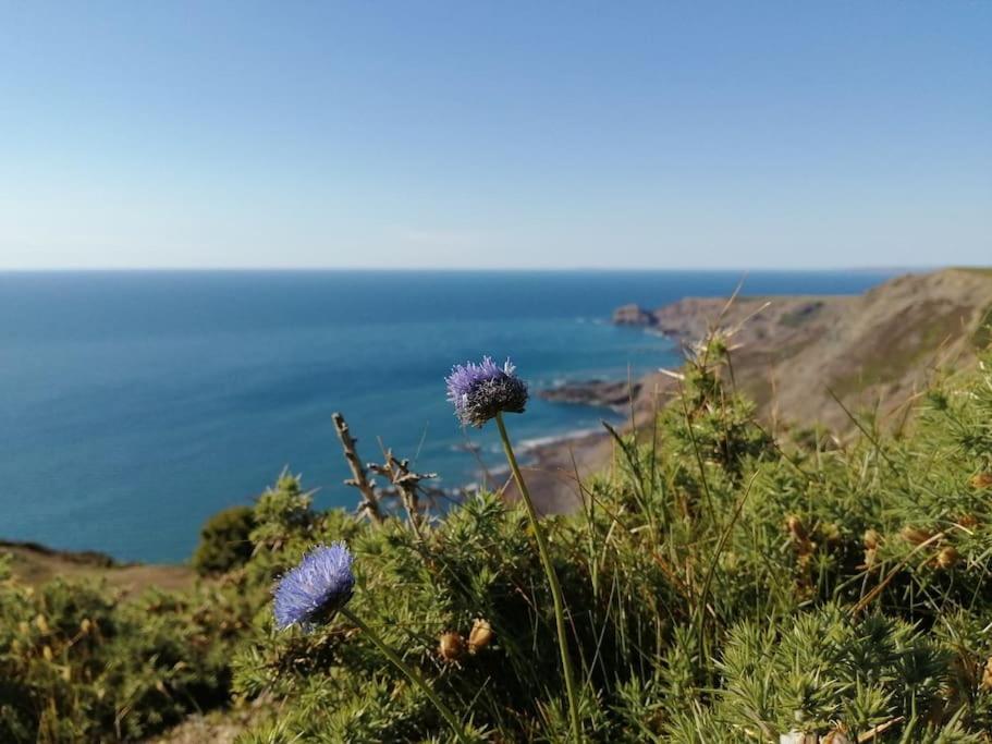 Kiberick Cottage At Crackington Haven, Near Bude And Boscastle, Cornwall ภายนอก รูปภาพ